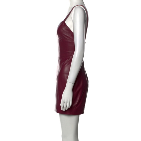 Fleur du mal Bordeaux Lamb Leather Mini Dress - Picture 3 of 13